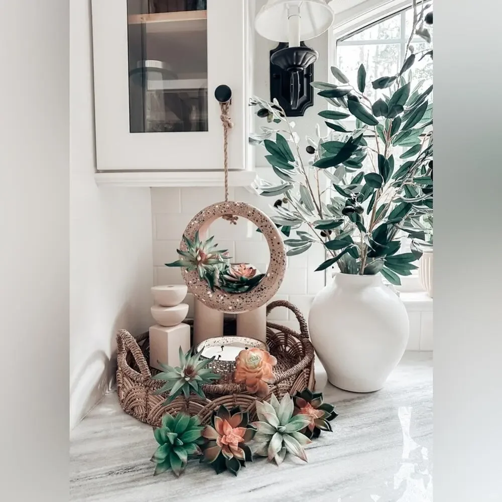 Jungalow lot succulents + terrazzo terracotta hanging circle planter boho home